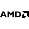 AMD Inc