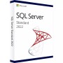 Microsoft SQL Server 2022 STD LIFETIME (unbegrenzte Anzahl von Kernen)